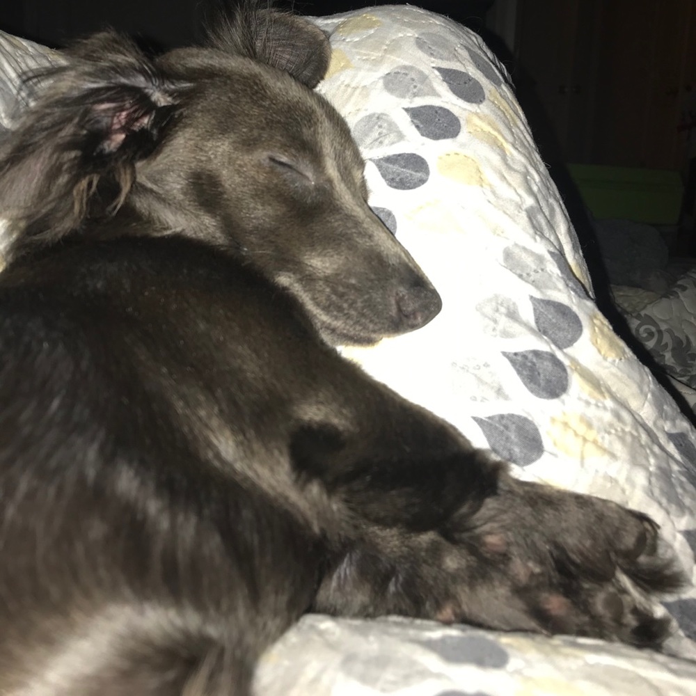 Meet your Posher, Valerie